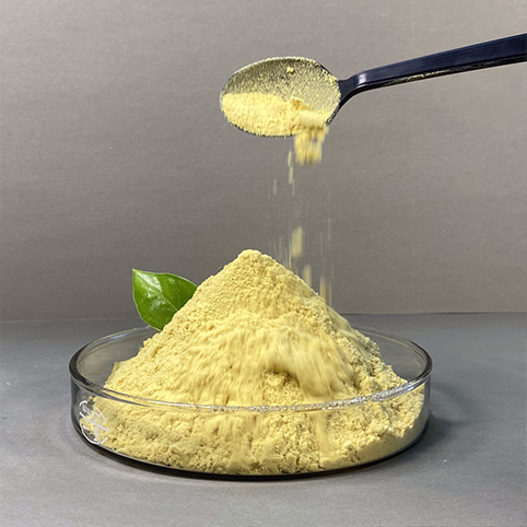 Polyferric Sulfate (PFS)