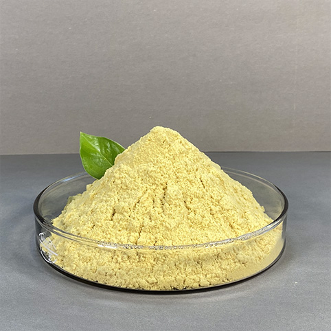 Polyferric Sulfate (PFS)