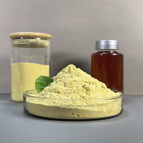 Polyferric Sulfate (PFS)