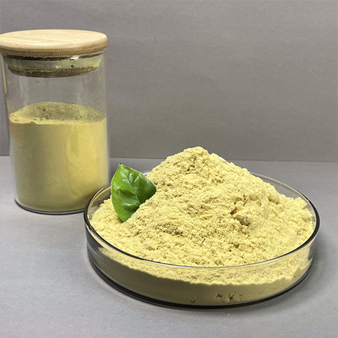 Polyferric Sulfate (PFS)