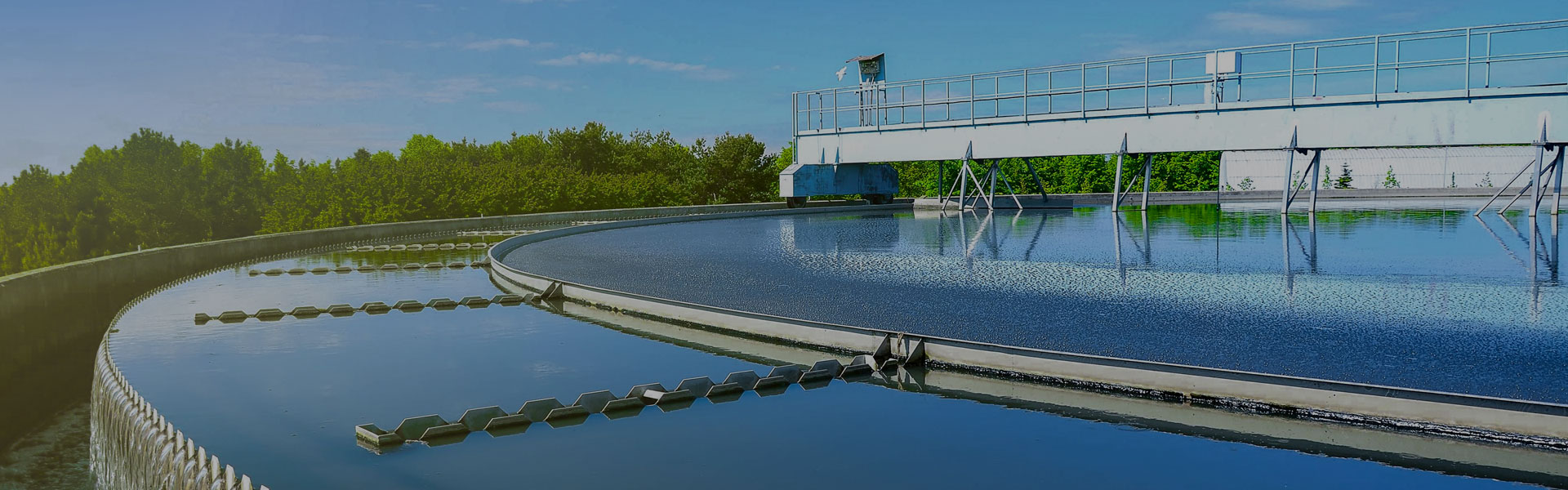 Polyacrylamide for Oil Recovery