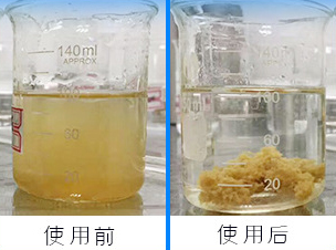 造纸厂废水处理图片